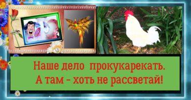 Значение поговорки 'Мало прокукарекать, надо обеспечить рассвет'. malo prokukarekat. Значение поговорки 'Мало прокукарекать, надо обеспечить рассвет' фото. Значение поговорки 'Мало прокукарекать, надо обеспечить рассвет'-malo prokukarekat. картинка Значение поговорки 'Мало прокукарекать, надо обеспечить рассвет'. картинка malo prokukarekat.