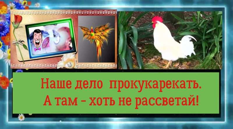 Значение поговорки 'Мало прокукарекать, надо обеспечить рассвет'. malo prokukarekat. Значение поговорки 'Мало прокукарекать, надо обеспечить рассвет' фото. Значение поговорки 'Мало прокукарекать, надо обеспечить рассвет'-malo prokukarekat. картинка Значение поговорки 'Мало прокукарекать, надо обеспечить рассвет'. картинка malo prokukarekat. адрес